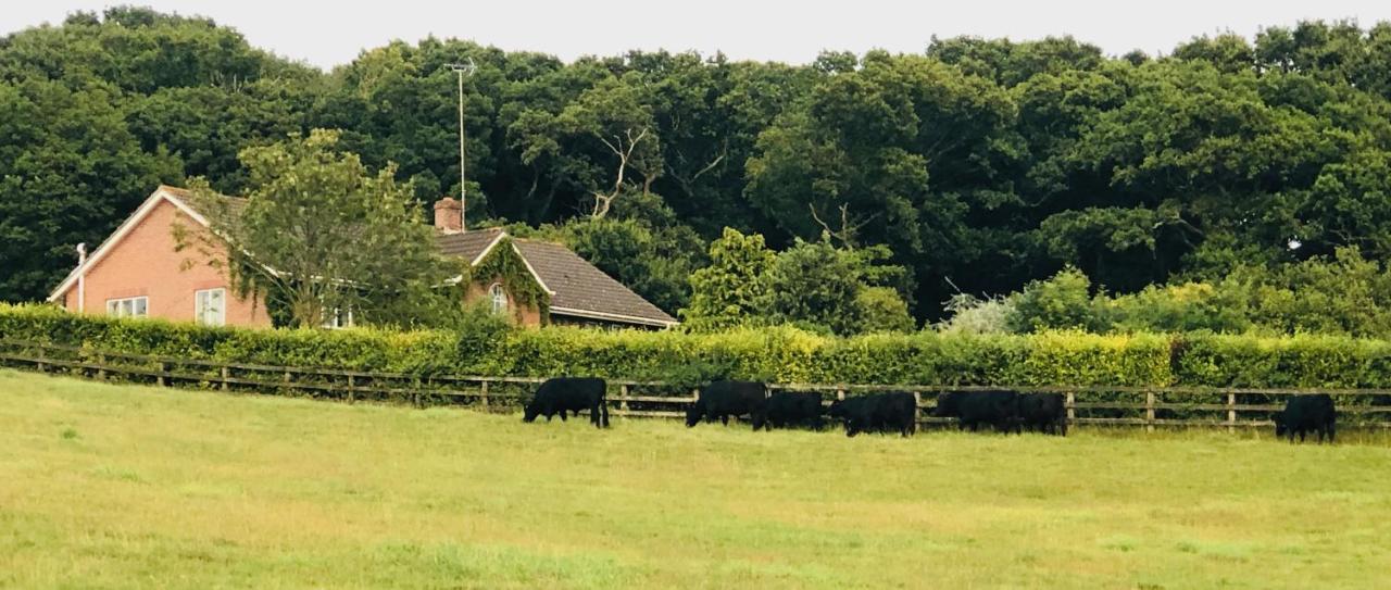 Yellowham Farm, Dorchester Higher Bockhampton Kültér fotó